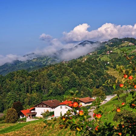 Farm Stay Pirc Laško Eksteriør bilde