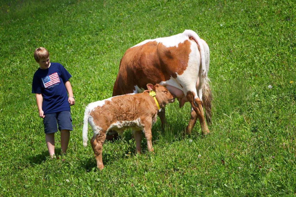 Farm Stay Pirc Laško Eksteriør bilde