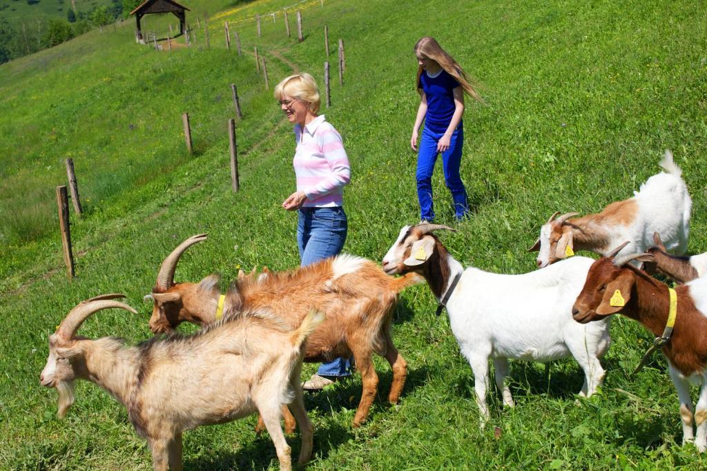 Farm Stay Pirc Laško Eksteriør bilde